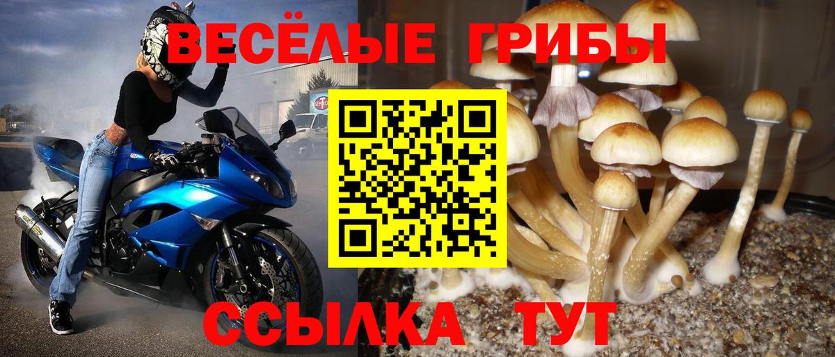 Шарыпово  Галлюциногенные грибы Magic Shrooms  Вход с VPN 